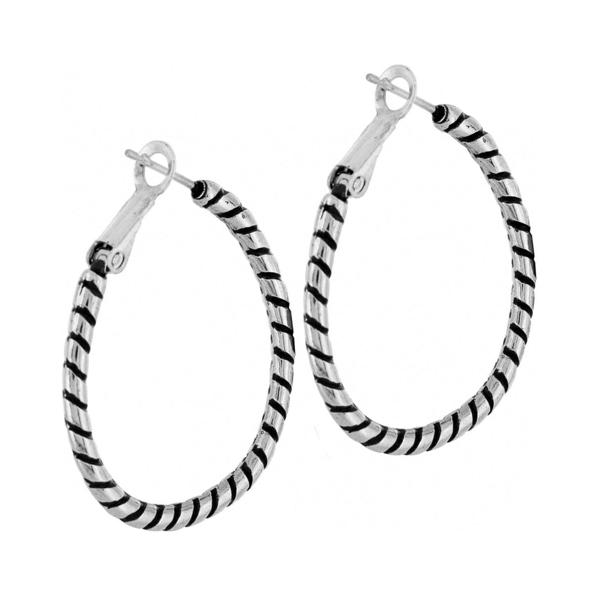 Twist Oval Hoop Charm Earrings